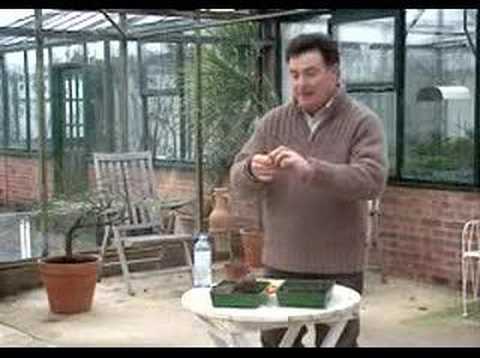 Hoggywart - We often take it for granted, but soil in the garden can be overlooked. Understanding a little about the type & consistancy of your soil will help you to gro...