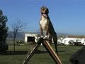Manganelli\ Manganelli\