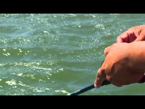 Swimming Football Jigs for Bass