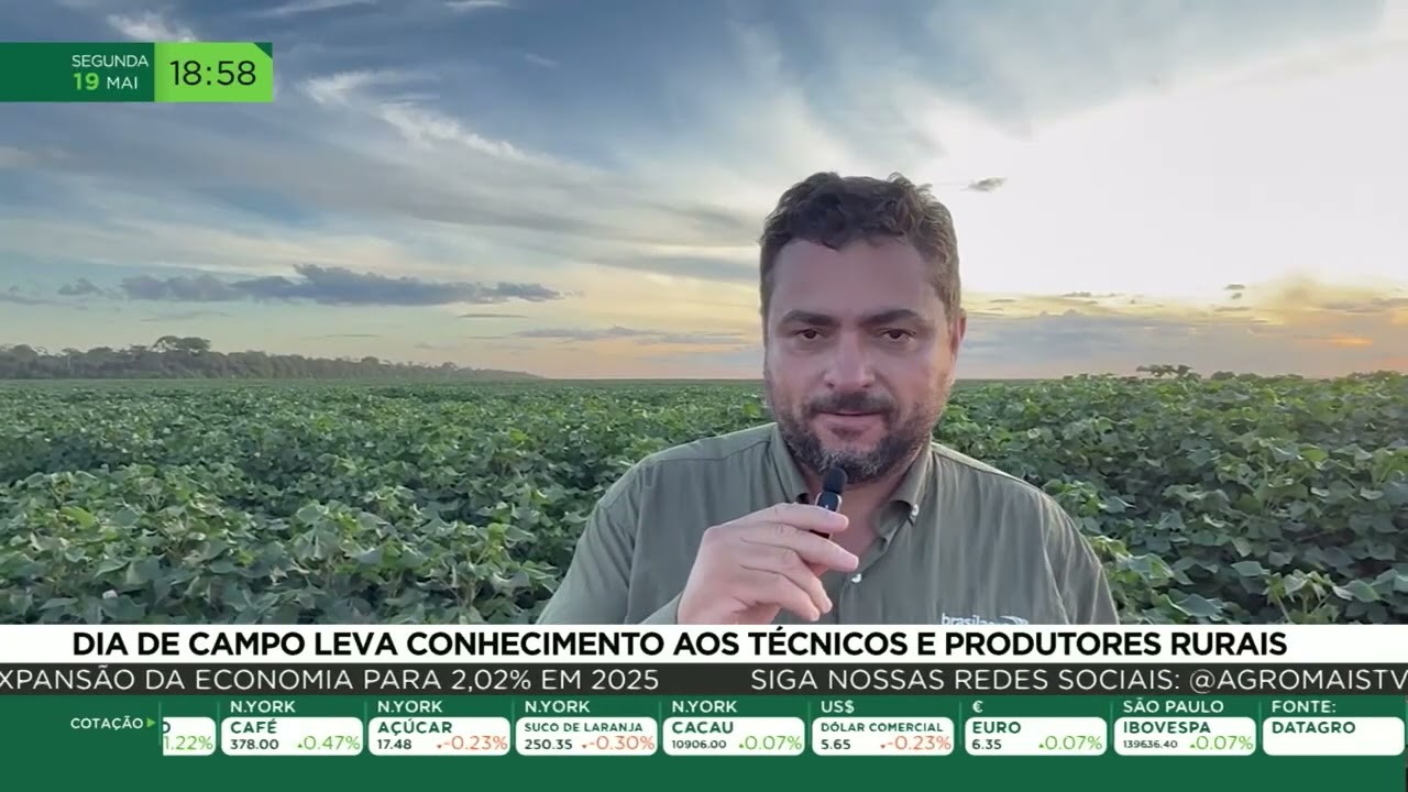 Dia de campo leva conhecimento aos técnicos e produtores rurais