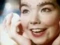 bjork-venus as a boy