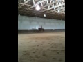 Dan riding Griffin