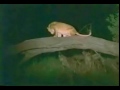 WOW, WOW, WOW, MUST WATCH AWESOME WOW, WOW, WOW, MUST WATCH AWESOME