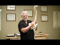 Visit our website: www.PsycheTruth.net Low Back Pain Relief, Sciatica Treatment & the Spine by Austin Chiropractor Back pain can have many different causes. Poor posture, injuries, car accidents and simple day-to-day living can cause structural issues, sciatica or sciatic nerve pain, pinched nerves, bulging or herniated discs and worse. Dr. Echols teaches you about back pain, gives tips on how to stretch the back and relieve pain and demonstrates how flexion distraction tables are used in chiropractic adjustment. Visceral pain may even be caused by the internal organs referring pain into the lower back. For example, the uterus transfers pain to the lower back and can cause discomfort during menstruation and PMS. Prostate issues can cause lower back pain in men, and addressing the health of the prostate can cure back pain in many cases. Dr. Echols is a Chiropractor in Austin, Texas. He specializes in helping relieve pain, swelling, discomfort and other ailments in the back, hip, butt, neck, bulging discs, sciatica, and more. In this free video, Dr. Echols talks about the low back and shows some gentle, safe adjustments that can help relieve pain in the low back, butt and hips. Chiropractic adjustments for the spine and low back (such as the flexion distraction table in this video) can help resolve these issues. The sacro-iliac joint can also cause sciatic pain or pain shooting down the leg. Visit Dr. Echols website at http This video was produced by Psychetruth www <b>...</b>