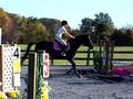 Lexus at Shadowbrook- Jumpers 10-11-08