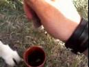 Farmer Video