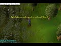 Runescape Cannabis Plants FOUND!