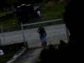 videos de haha