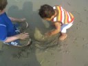 Ander at the beach (11 months old)