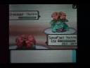 Tojo Wifi Battle vs. Nintendork.wmv Tojo Wifi Battle vs. Nintendork.wmv
