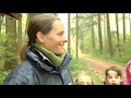 Mehr über Vögel erfahren - mit dem Vogellehrpfad in Friesenried