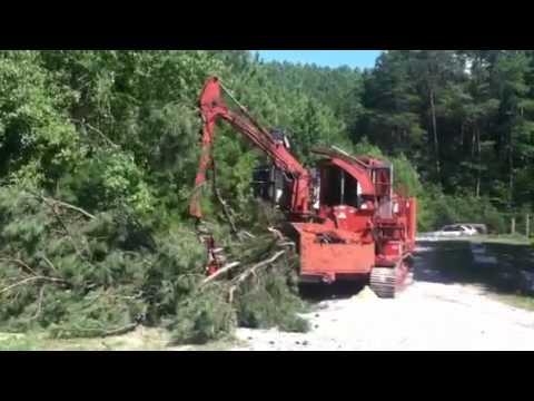 mobark - Since 1993, Thomason Company, Inc. in Ocoee, TN has been a premier choice in vegetation management services throughout the state of Tennessee. As a select co...