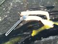 Frying Egg On Car: Attempt #2