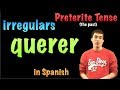 videos de 02 preterite irregulars querer