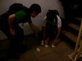 videos de Donde esta?