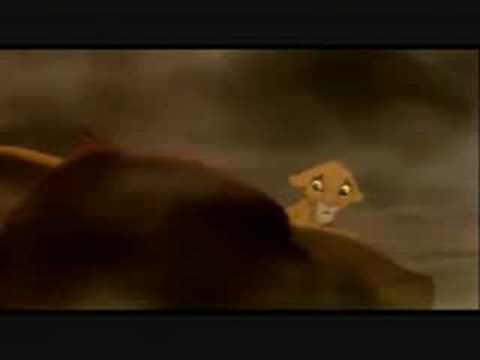 SAD LION