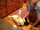holly mostrando o que hunter sabe fazer!