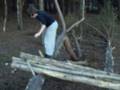 videos de parkour in the forest royden.wmv