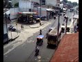 Year`s End Jungle Traffic
