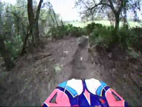 FTR - HS #11 Hungry Catfish 2 250B