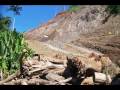 Video sobre la Problematica Ambiental que causa la basura y las respuestas de la gente hacia este problema. Al principio este video fue solo un proyecto escolar que hice con mis compañeros de curso, pero por ahi recibi buenas criticas y me pidieron que lo suba. Pa los que vean estoy por favor consideren que es la primera ves que hago algo de esto. Al principio nisiquera sabia tocar el windows movie maker asi que para mi es un buen comienzo................................Por favor dejen sus comentarios y gracias por esos hermosos y considerables comentarios!!