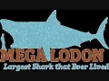 اكبر سمكه قرش في العالم  (megalodon)