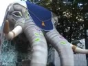 Desfile de la ballena ( 2008 )