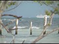 Royal Sunset Resort Marina Video Royal Sunset Resort Marina Video