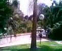 Castanheira de Pera Castanheira de Pera