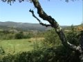 Turismo Rural - Casa Florinda en Pontevedra