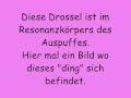 Enrdrosslung eines Sportauspuff Drossel entfernen Anleitung