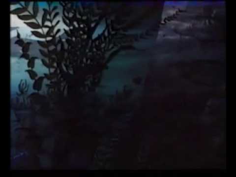 DISNEY UNDER THE SEA.