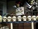 Pirate band percussionist. Pirate band percussionist.