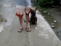 Off-leash OB Training with Tipsy 2