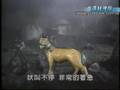 台灣封神榜-狗神-上