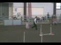 Shaili CPE Jumpers Level 5 11/15/09
