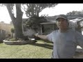 Video Testimonial by Mr. L.