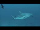 Maldive Novembre 2006
