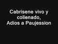 Cabrisene Vivo y Coliando, Adios al nene Jesus