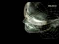 U2 - Original Of The Species (How To Dismantle An Atomic Bomb, 2004)