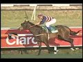 MATTO MONDO - Polla de Potrillos Gr. I