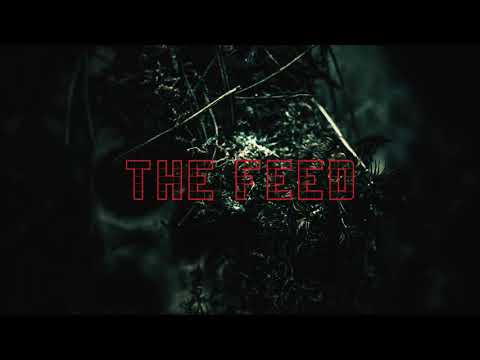 800 THROATS Drops New Lyric Video "The Feed"