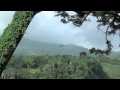 Birdwatching, St. Vincent, Caribbean - YouTube