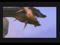 Memories of Drakengard - Kokia