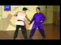 Choy Li Fut - Fighting Applications 1