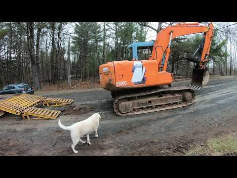 Digging out stumps