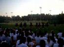 Varsity Homepalm