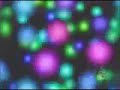Laser Nite (fast) AS