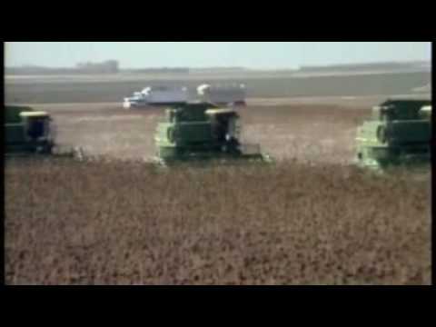 how to harvest seeds from a sunflower