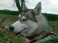 Calia � partir de 6 mois
